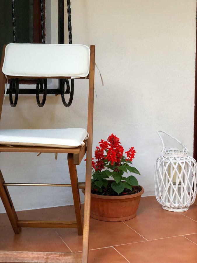 Apartment Nicolas Cattaro Esterno foto